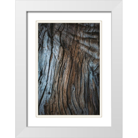 Eucalyptus Texture White Modern Wood Framed Art Print with Double Matting by Mossholder, Tim