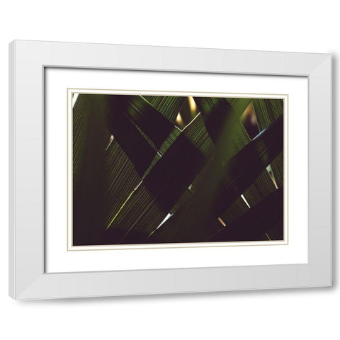 Palm Textures White Modern Wood Framed Art Print with Double Matting by Mossholder, Tim
