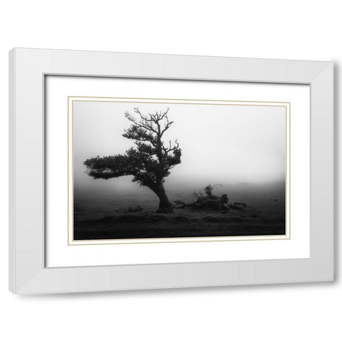 Fanal #2 White Modern Wood Framed Art Print with Double Matting by Moravek, Martin