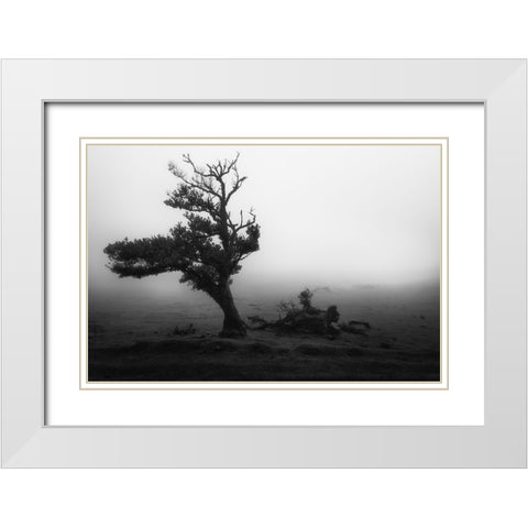 Fanal #2 White Modern Wood Framed Art Print with Double Matting by Moravek, Martin