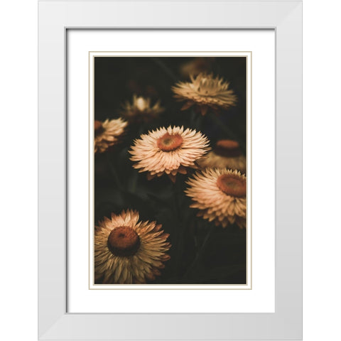 Faded Flowers White Modern Wood Framed Art Print with Double Matting by Mossholder, Tim
