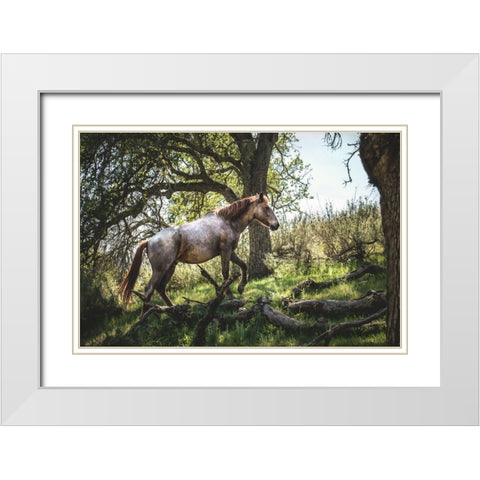 Hillside Horse White Modern Wood Framed Art Print with Double Matting by Mossholder, Tim