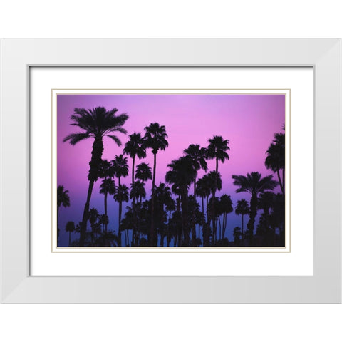 Palms with Pink Sky White Modern Wood Framed Art Print with Double Matting by Mossholder, Tim