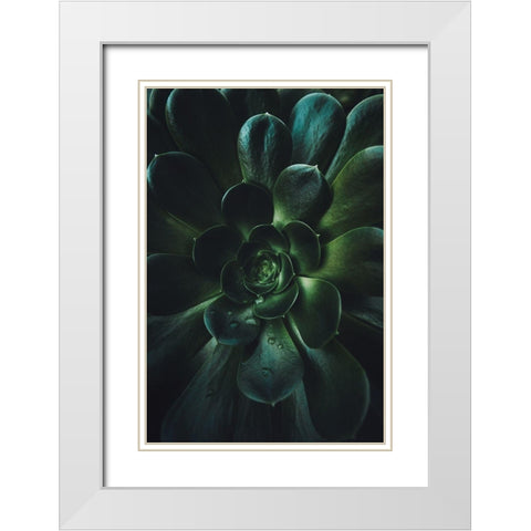 Succulent White Modern Wood Framed Art Print with Double Matting by Mossholder, Tim