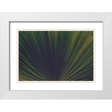 Palm Textures White Modern Wood Framed Art Print with Double Matting by Mossholder, Tim
