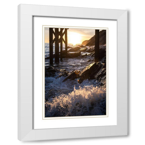 Coast at Sunset White Modern Wood Framed Art Print with Double Matting by Mossholder, Tim