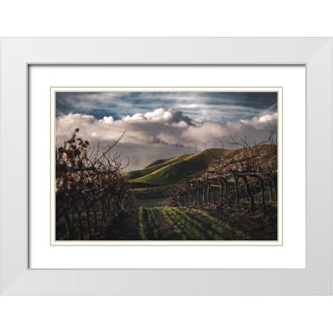Dark Vineyards White Modern Wood Framed Art Print with Double Matting by Mossholder, Tim