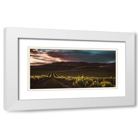 Vineyards White Modern Wood Framed Art Print with Double Matting by Mossholder, Tim