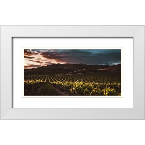 Vineyards White Modern Wood Framed Art Print with Double Matting by Mossholder, Tim