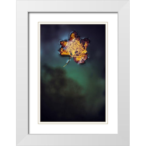 Leaf on Water White Modern Wood Framed Art Print with Double Matting by Mossholder, Tim