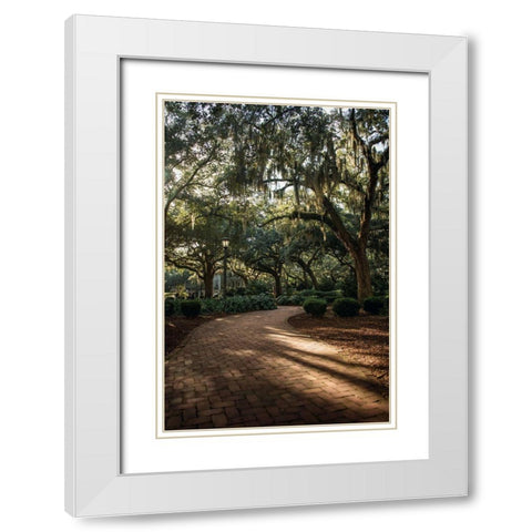 Oaks in Savannah White Modern Wood Framed Art Print with Double Matting by Mossholder, Tim