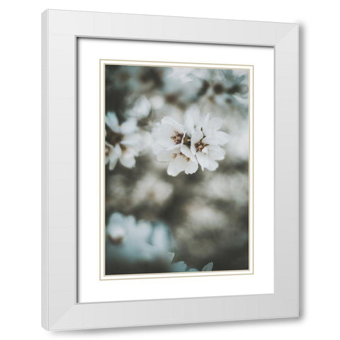 Almond Blossoms White Modern Wood Framed Art Print with Double Matting by Mossholder, Tim