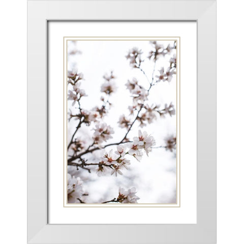 Almond Blossoms White Modern Wood Framed Art Print with Double Matting by Mossholder, Tim