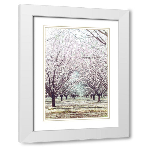 Almond Orchard White Modern Wood Framed Art Print with Double Matting by Mossholder, Tim