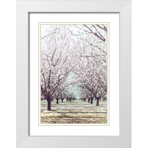 Almond Orchard White Modern Wood Framed Art Print with Double Matting by Mossholder, Tim