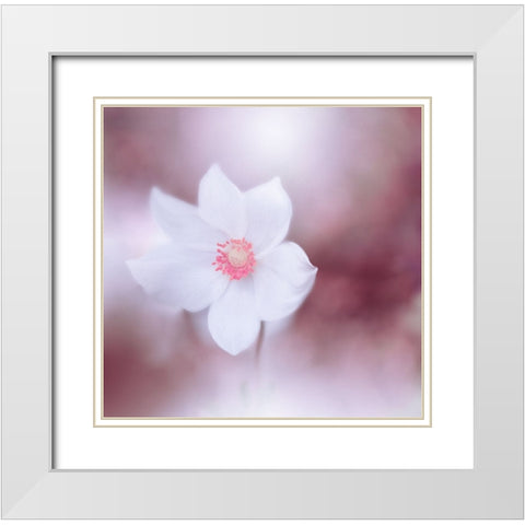 Eyes Wide Open.. White Modern Wood Framed Art Print with Double Matting by Nan, Juliana