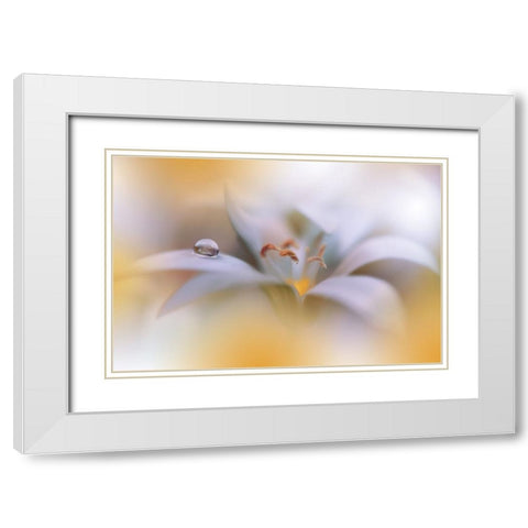 Miracle of Life.. White Modern Wood Framed Art Print with Double Matting by Nan, Juliana