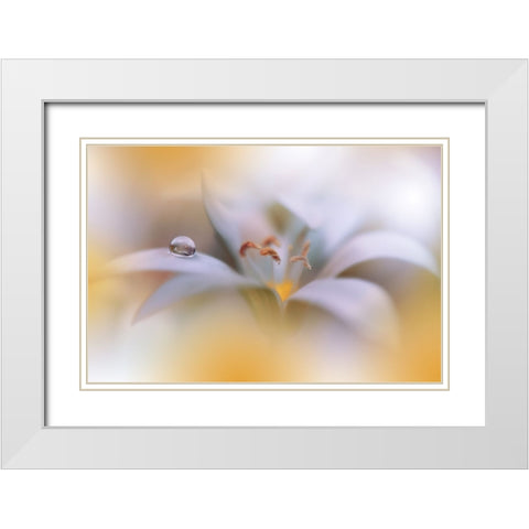 Miracle of Life.. White Modern Wood Framed Art Print with Double Matting by Nan, Juliana