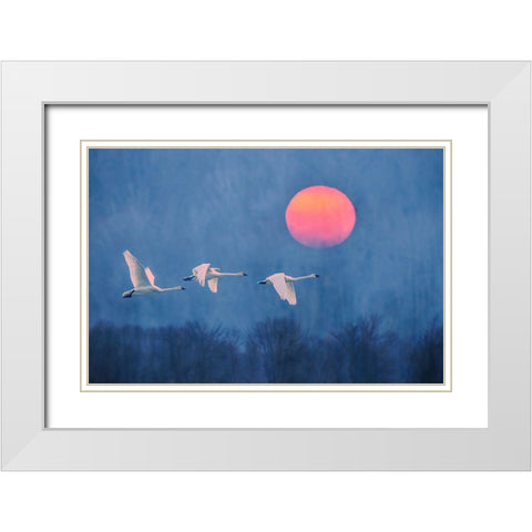 Foggy Sunrise White Modern Wood Framed Art Print with Double Matting by Li, Rob