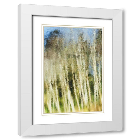 Acrylic Light White Modern Wood Framed Art Print with Double Matting by Saito, Misaki
