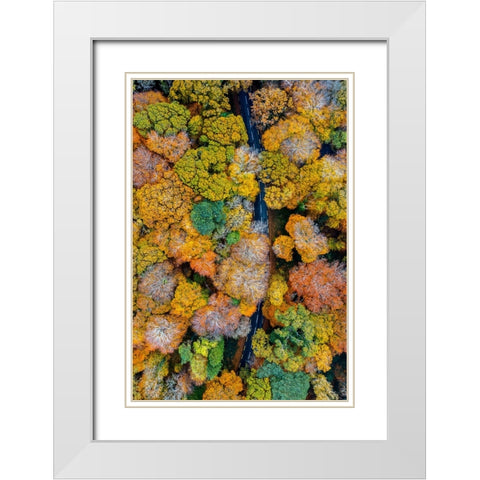 Autumn firework White Modern Wood Framed Art Print with Double Matting by Jubic, Srecko