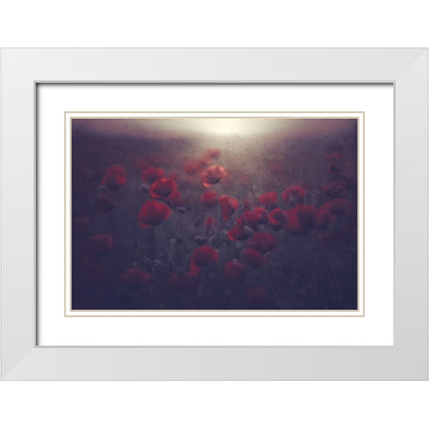 Flowers for Womens Day White Modern Wood Framed Art Print with Double Matting by Kazamil, Farid