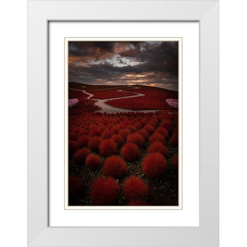 Kochia Road White Modern Wood Framed Art Print with Double Matting by Gmehlin, Samuel