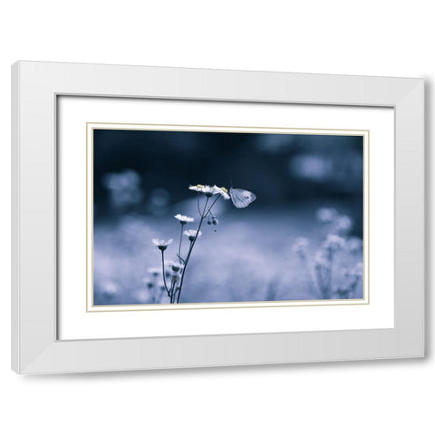 Small Butterfly White Modern Wood Framed Art Print with Double Matting by Deng, Ivy
