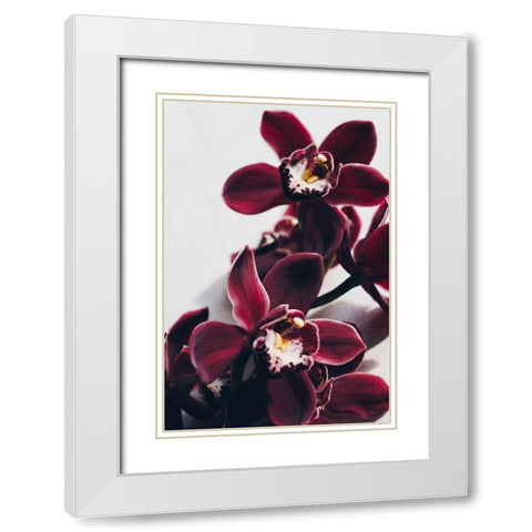 Velvet Orchid White Modern Wood Framed Art Print with Double Matting by Sawall, Anastasia