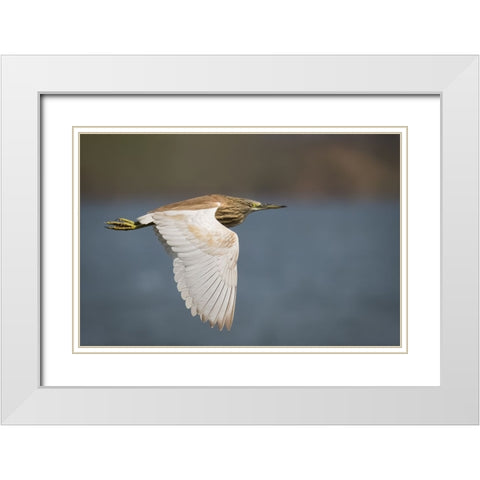 Wings White Modern Wood Framed Art Print with Double Matting by Zaeitar, Ahmed