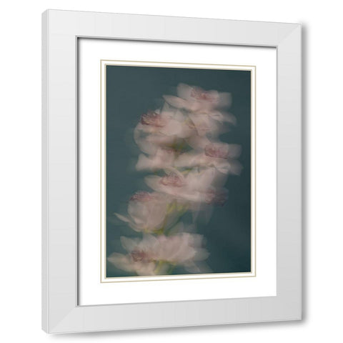 Slow motion White Modern Wood Framed Art Print with Double Matting by Basso, Donatella