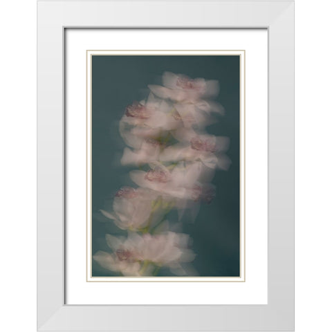 Slow motion White Modern Wood Framed Art Print with Double Matting by Basso, Donatella