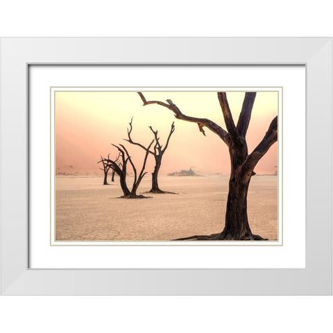 Fog and trees in the desert White Modern Wood Framed Art Print with Double Matting by Damico, Giuseppe