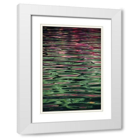 Flower reflection White Modern Wood Framed Art Print with Double Matting by Alcantara, Miguel
