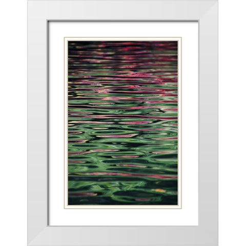 Flower reflection White Modern Wood Framed Art Print with Double Matting by Alcantara, Miguel