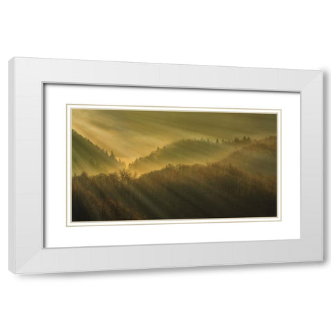 Rays of morning White Modern Wood Framed Art Print with Double Matting by Bor