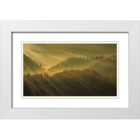 Rays of morning White Modern Wood Framed Art Print with Double Matting by Bor