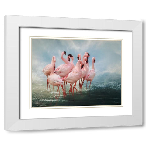 Lesser Flamingo Summit White Modern Wood Framed Art Print with Double Matting by Wisniowska, Krystina