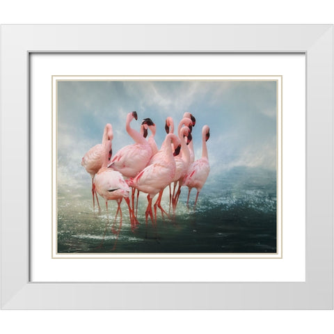 Lesser Flamingo Summit White Modern Wood Framed Art Print with Double Matting by Wisniowska, Krystina