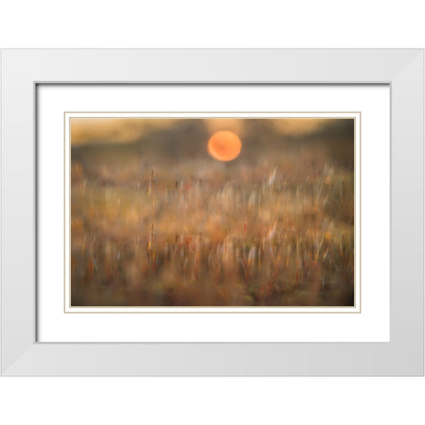 sunrise among the rough hair moss White Modern Wood Framed Art Print with Double Matting by Bouhuijzen, Ina