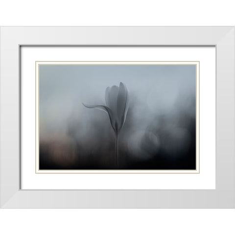 Crocus White Modern Wood Framed Art Print with Double Matting by Gronkjar, Lotte