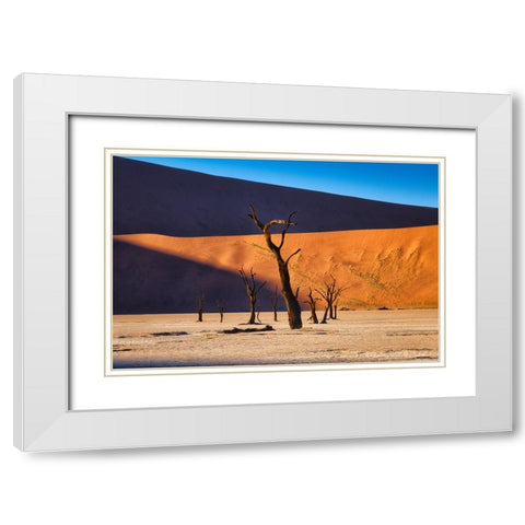 Deadvlei White Modern Wood Framed Art Print with Double Matting by Zheng, Michael