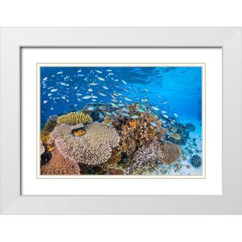 Maji Islet Reef White Modern Wood Framed Art Print with Double Matting by Gabriel, Barathieu