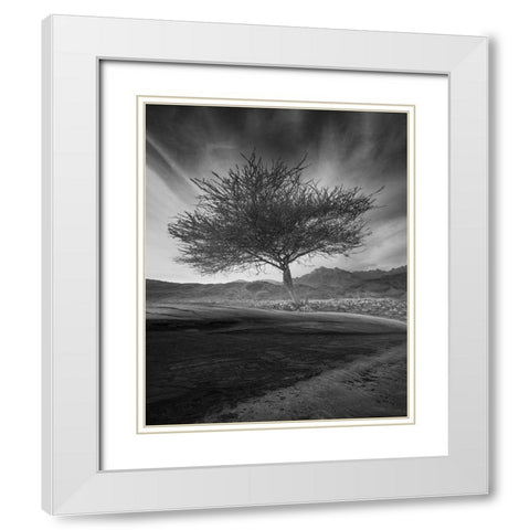 Revival White Modern Wood Framed Art Print with Double Matting by Alsubhi, Anas
