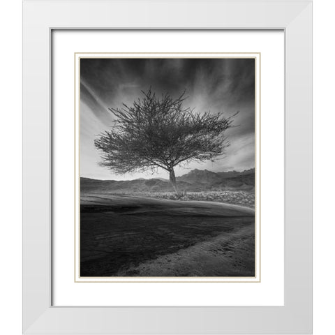 Revival White Modern Wood Framed Art Print with Double Matting by Alsubhi, Anas