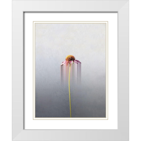 Single flower White Modern Wood Framed Art Print with Double Matting by Cederberg, Marcus