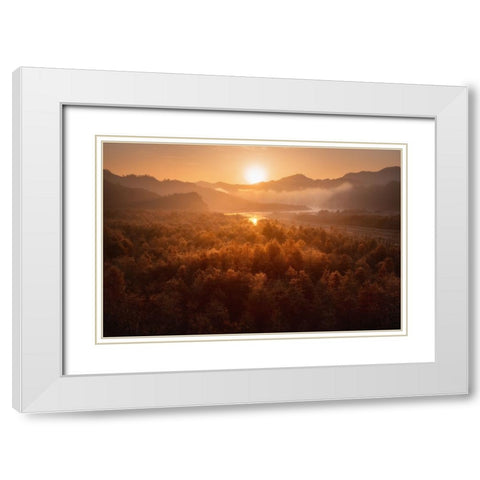 Red forest White Modern Wood Framed Art Print with Double Matting by Hao, Damon