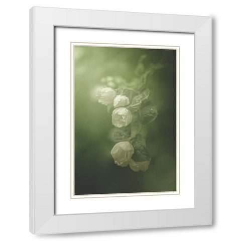 Jasmine White Modern Wood Framed Art Print with Double Matting by Zvinakeviciute, Kristina