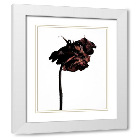 Dried Flower White Modern Wood Framed Art Print with Double Matting by Miyake, Shiro