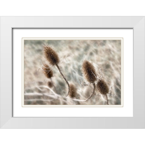 Do not touch me... White Modern Wood Framed Art Print with Double Matting by Claes, Gilbert
